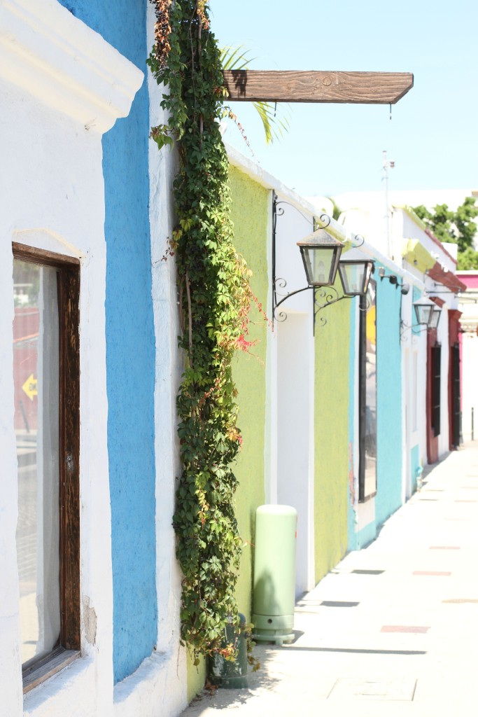  Colored-Walls-San-Juan-Los-Cabos