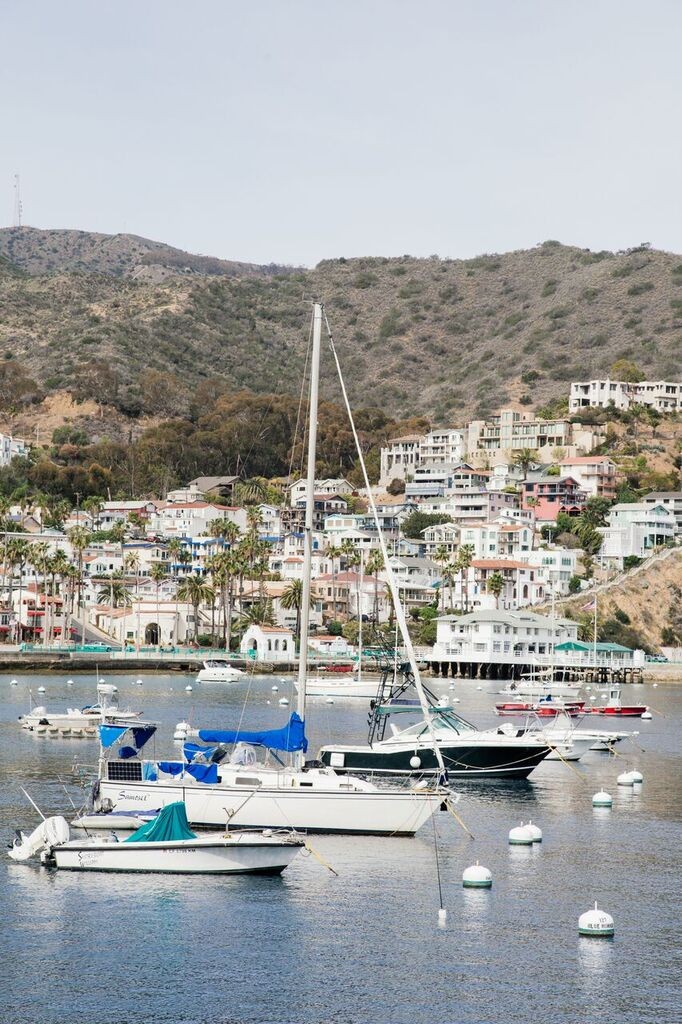 Catalina Island 